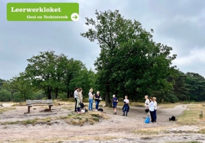 Wandeling Hoorneboegse Heide